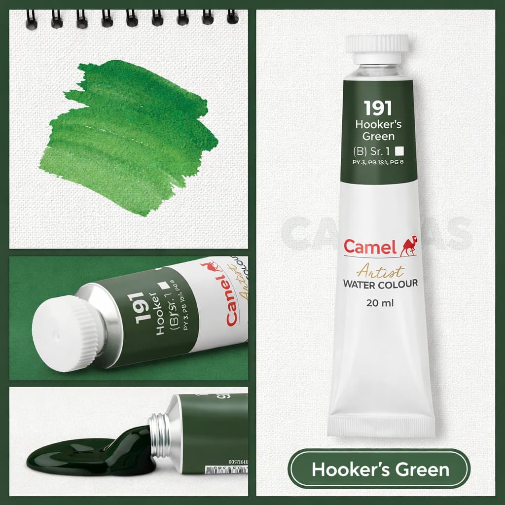 Watercolor — Hooker's Green