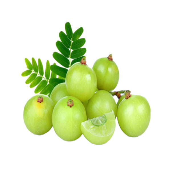 Fresh Amloki (Indian Gooseberry) – Vitamin C Superfruit