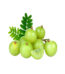 Fresh Amloki (Indian Gooseberry) – Vitamin C Superfruit