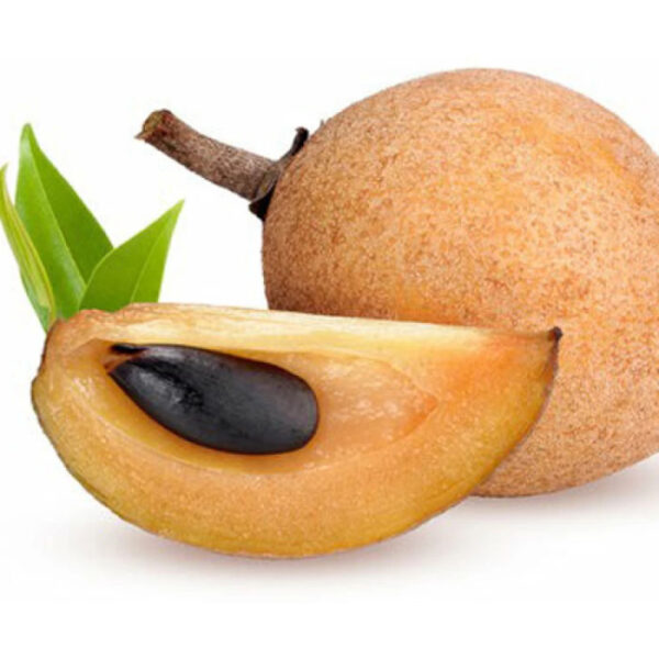 Fresh Sobeda (Sapodilla) – Sweet & Nutrient-Rich Fruit